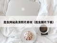 常宁昆虫网站高清照片素材（昆虫图片下载）